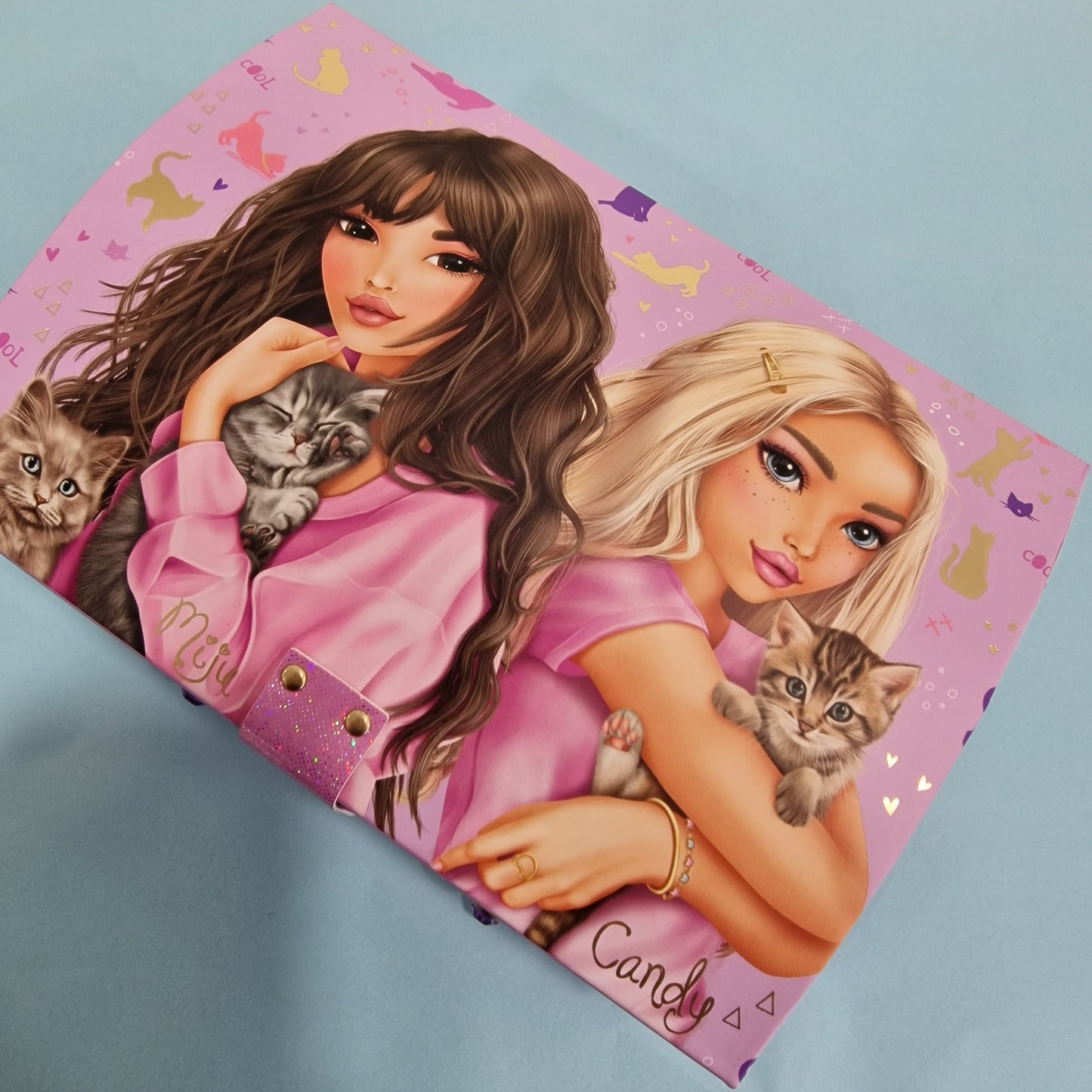 Top model jewellery box