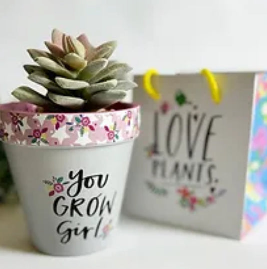 You Grow Girl - Pot and Saucer