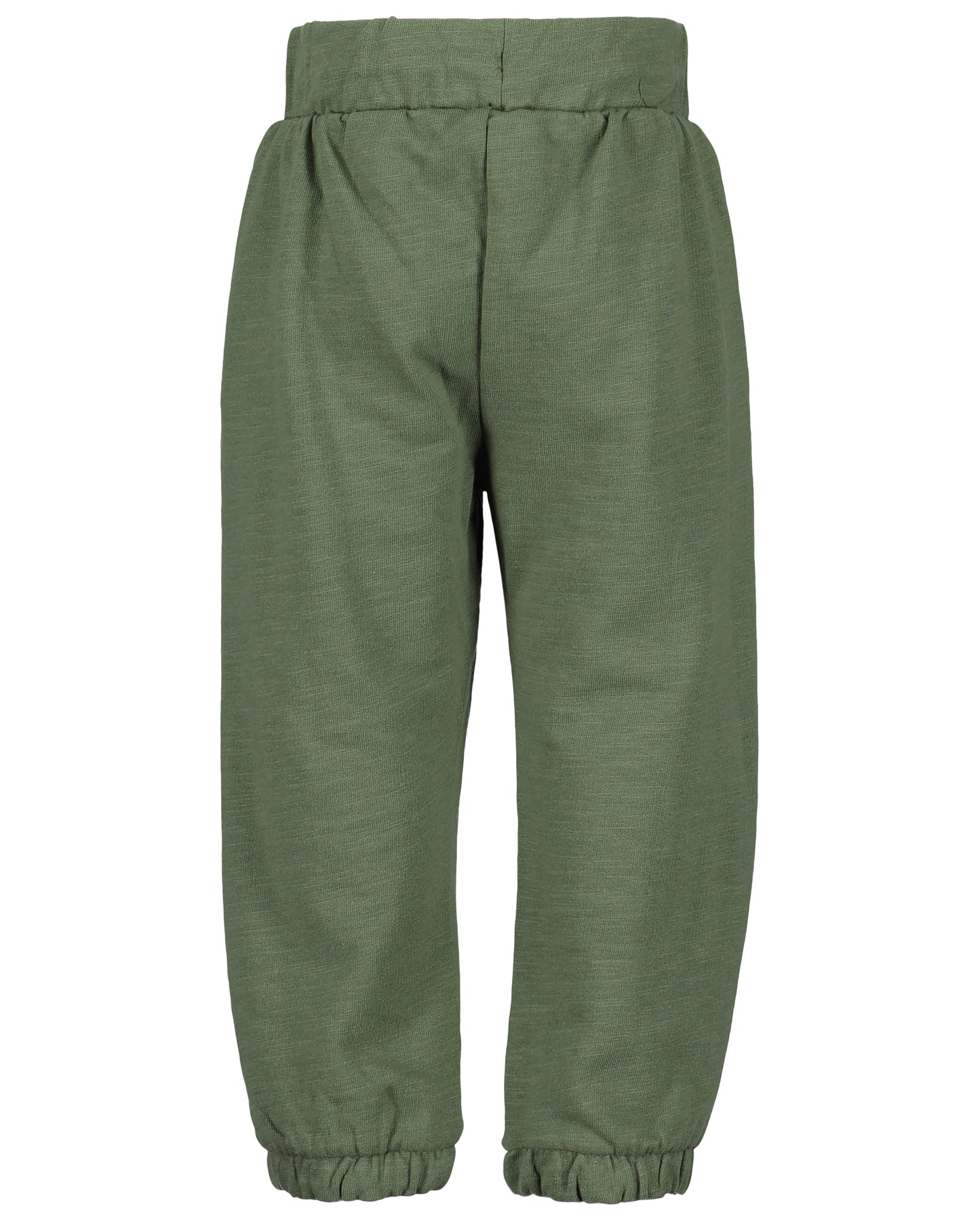 Tiger t-shirt and khaki trousers 2pc
