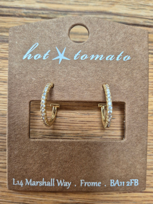 Hoops set W/Sparkle - Worn Gold & Zircon Earrings