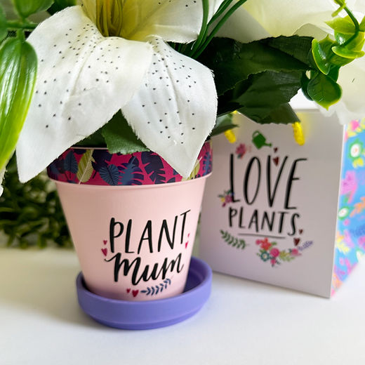 Plant Mum plant pot