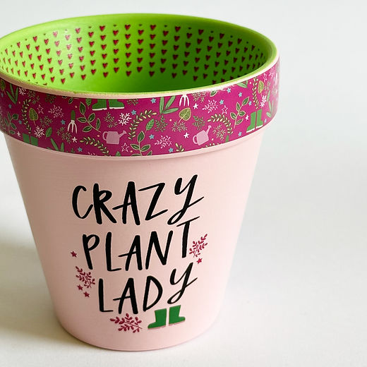 Crazy plant lady plant pot