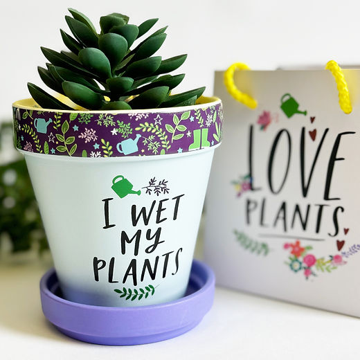 I wet my plants plant pot