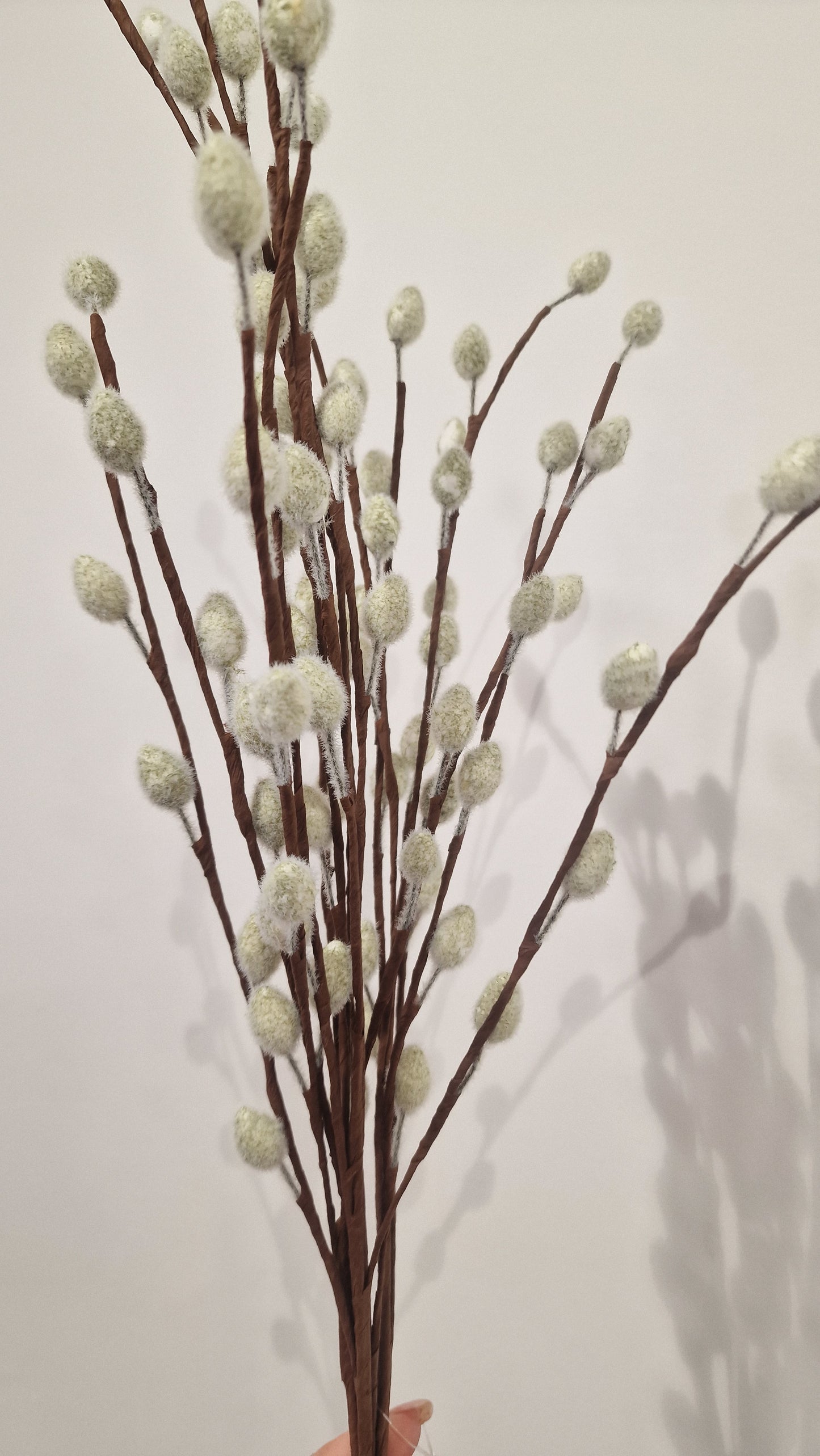 PUSSY WILLOW BUNCH GREY AND WHITE ASSTD