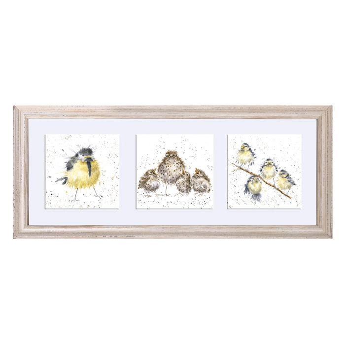 A TRIO OF FLEDGLINGS