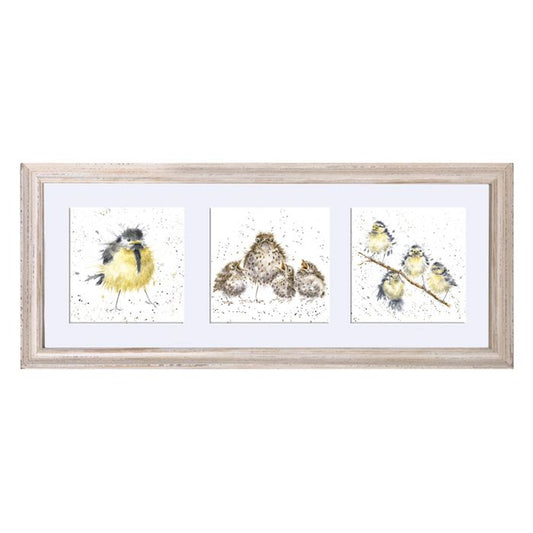 A TRIO OF FLEDGLINGS