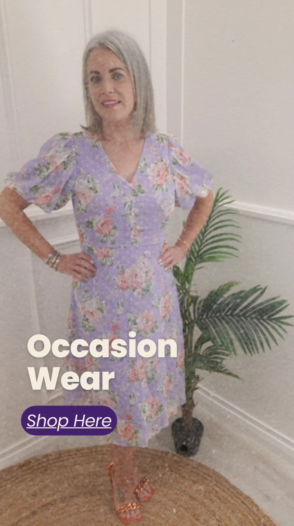 Occasion Dresses & Suiting