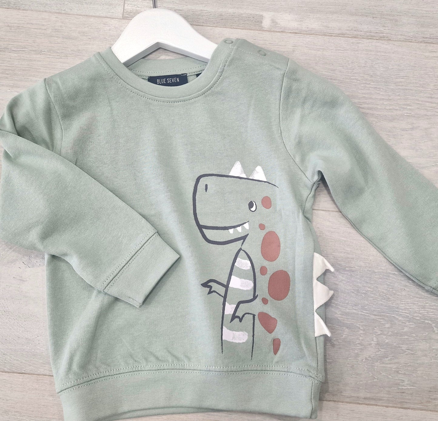 Mint Dino jumper