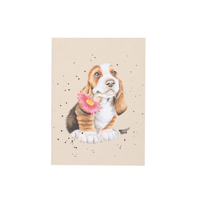 JUST FOR YOU' BASSET HOUND A6 NOTEBOOK