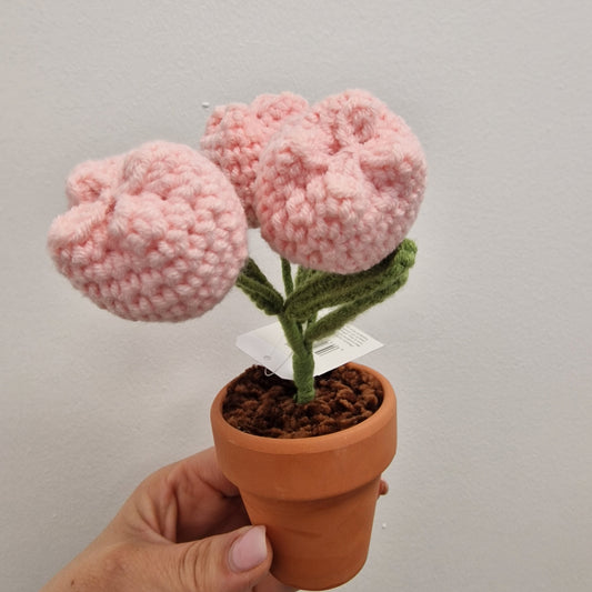 Tulip hand knitted bunch in small pot