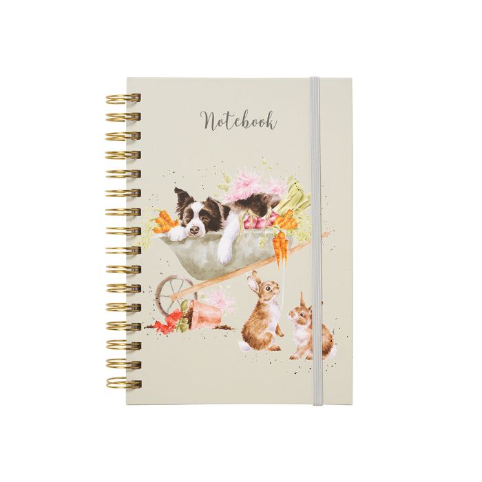 SLEEPING ON THE JOB' BORDER COLLIE AND RABBIT NOTEBOOK