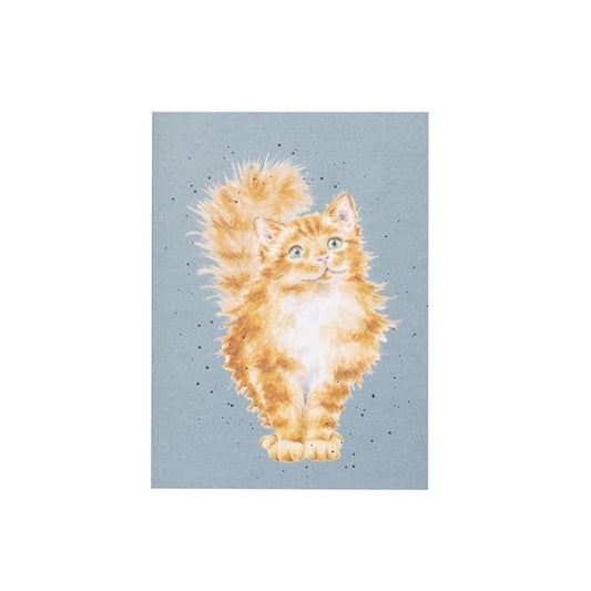 JUST PURRR-FECT' CAT A6 NOTEBOOK