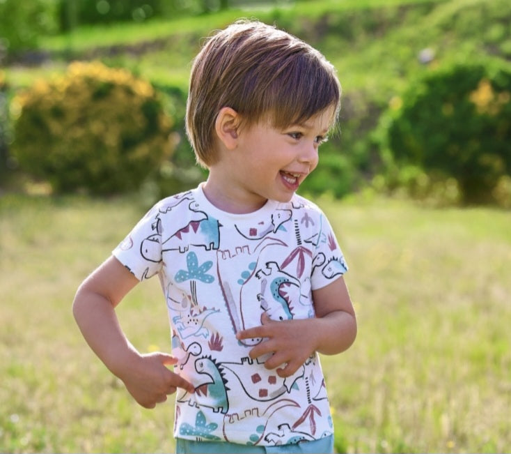 Mint Dino shorts and t shirt set