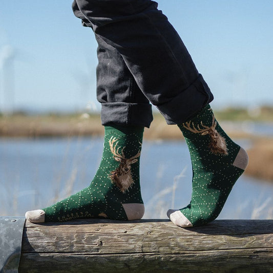 PORTRAIT OF A STAG' STAG MEN'S SOCKS