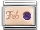 Classic, S. Steel & 9ct Rose Gold February AMETHYST