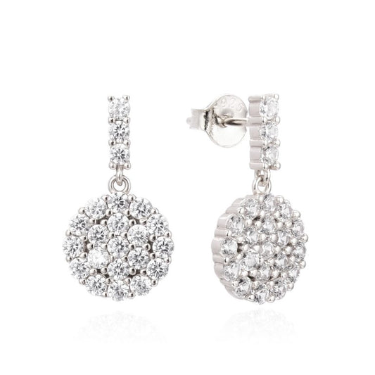 SILVER BEAUTY DROP EARRINGS