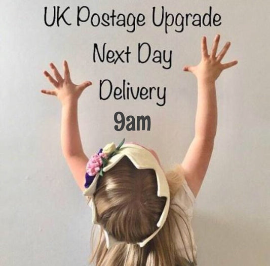 NEXT DAY 9am GUARENTEED DELIVERY