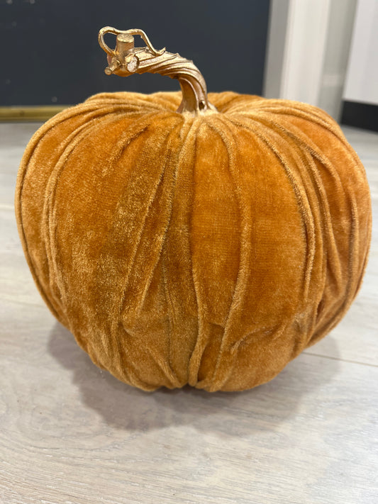 Velvet pumpkin 22cm