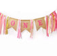 1st Birthday Cake Smash / Highchair garland Pink
