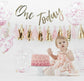 PINK BABY CAKE SMASH 1ST BIRTHDAY KIT